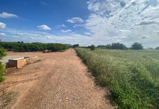 Rural/Agricultural land for sale in Pla de Pavia, Rafelbunyol, Valencia. 